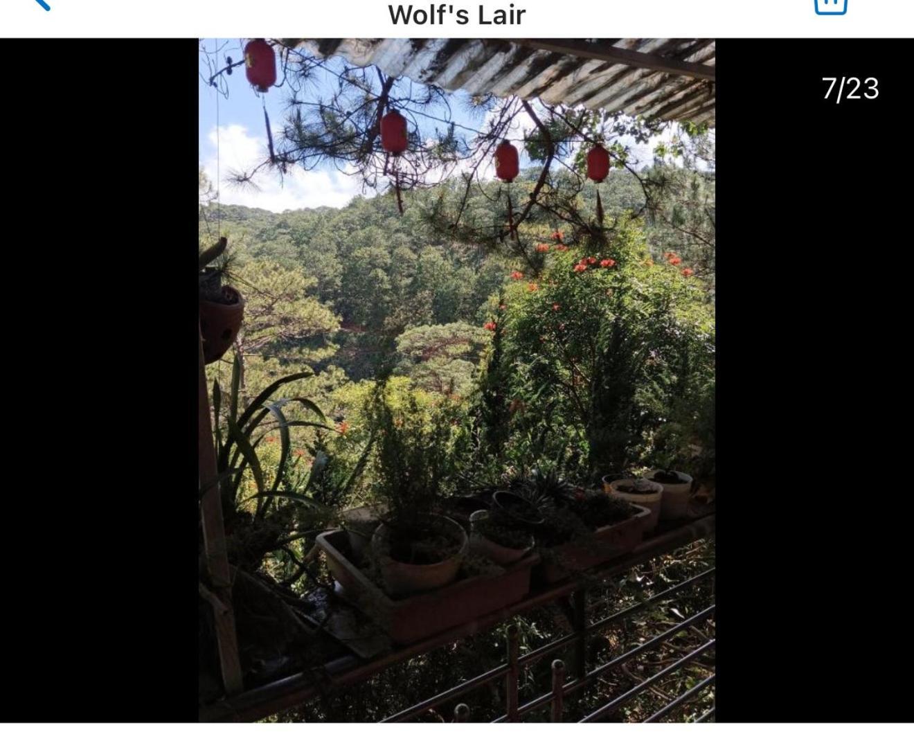 Hotel Wolf'S Lair Dalat Exteriér fotografie